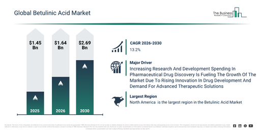 Read more about the article Betulinic Acid  Market Size Projected To Increase From $1.64 Billion To $2.69 Billion During The Forecast Period