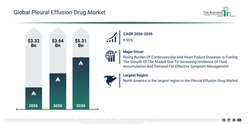 Read more about the article Pleural Effusion Drug Market Growth Through 2030 Creates New Strategic Opportunities