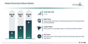 Read more about the article Electrolyte Mixes Market Growth Is Accelerating As Industry Transformation Continues