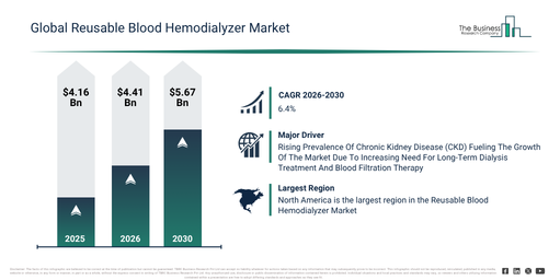 You are currently viewing Reusable Blood Hemodialyzer Market Growth Forecast: Market Size, Key Trends And Emerging Opportunities Through 2030